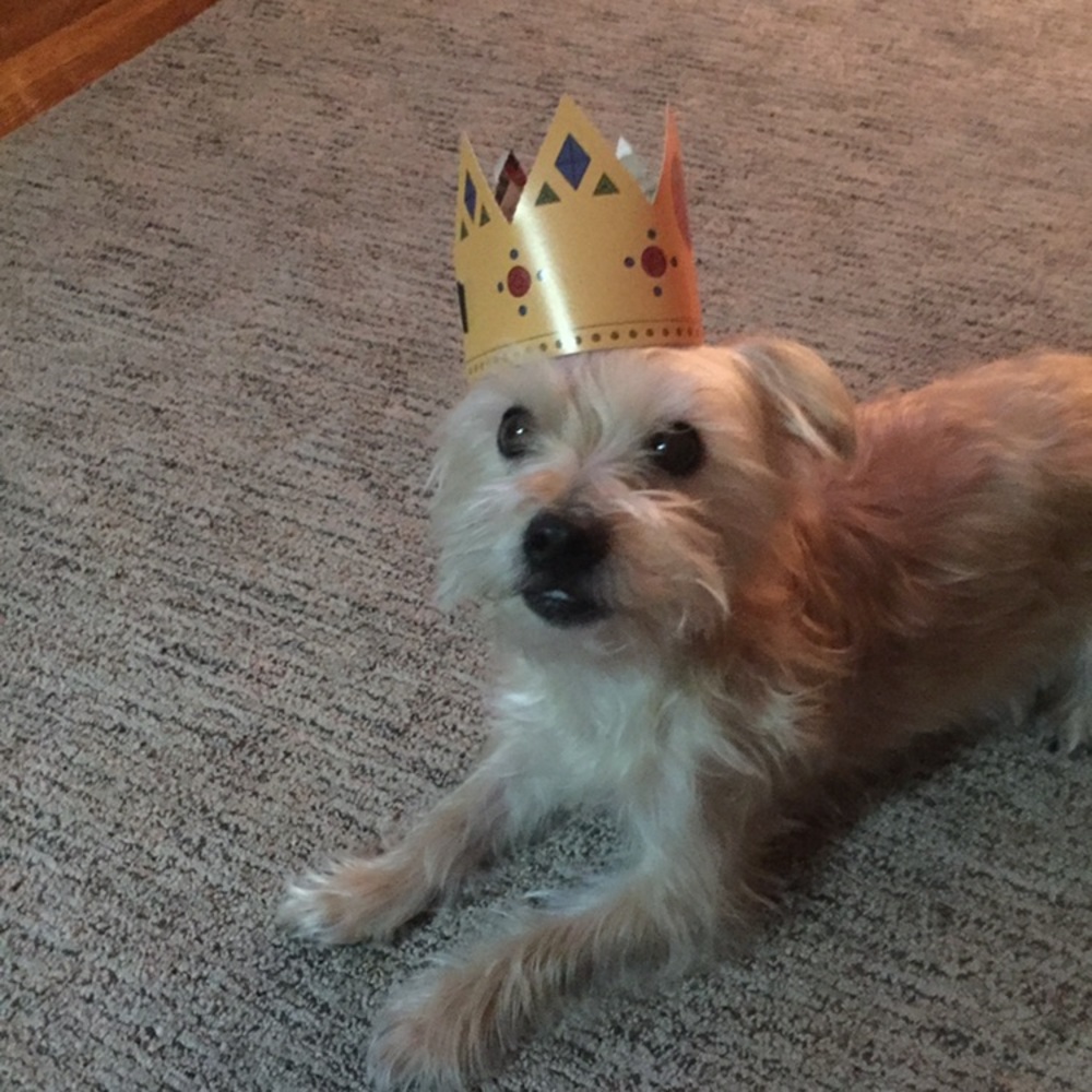 Meet your Posher, Marissa